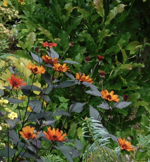 IMG_2103352f8bda67c0cec2.jpeg