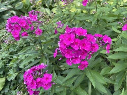 IMG_026636b01203e5c2dff2.jpeg