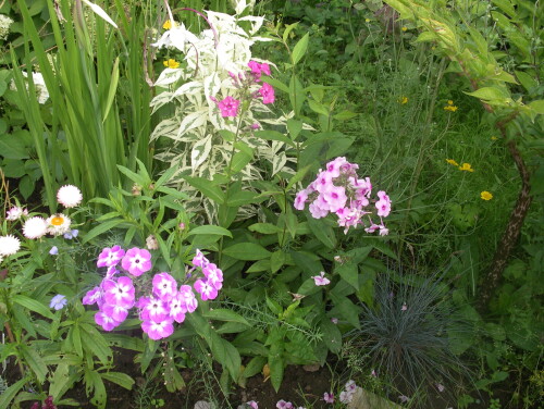 IMGP11421f907a1b9f5abcec.jpg