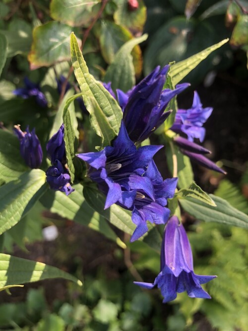 IMG 3414