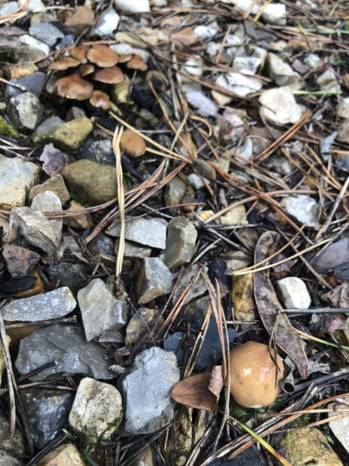 IMG_485922ad07c4dd0144c4.jpeg