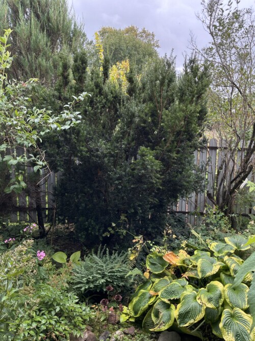IMG_0001750ca8d4f977789f.jpeg