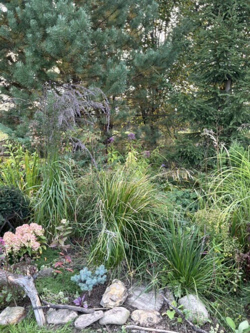 IMG_0095d1dcc471bbdf68dd.jpeg