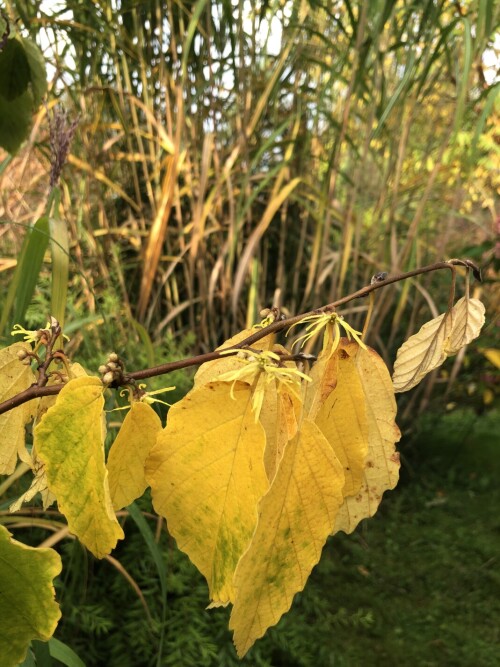 IMG_5526ece9e291b892c509.jpeg