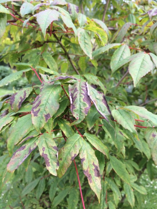 IMG_4802abe26cf8a7938a15.jpeg