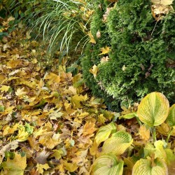 IMG_357757e3dfb06bacb367